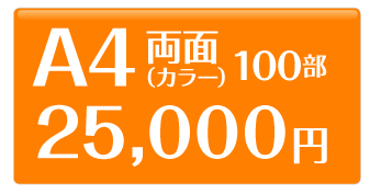 A4̃`VʁiJ[j10025,000~